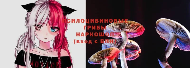 Псилоцибиновые грибы MAGIC MUSHROOMS  ссылка на мегу ONION  Валуйки 